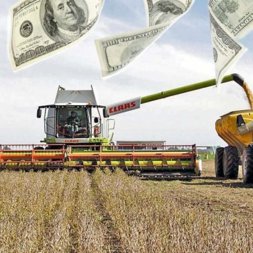 Un “plan platita” para los de arriba // 4 agosto 2025